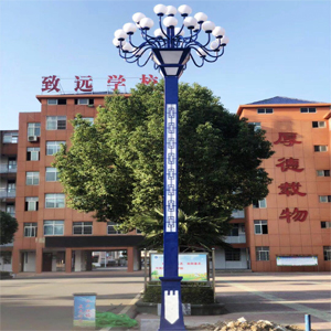 <b>2019.4邓州市致远亮化工</b>